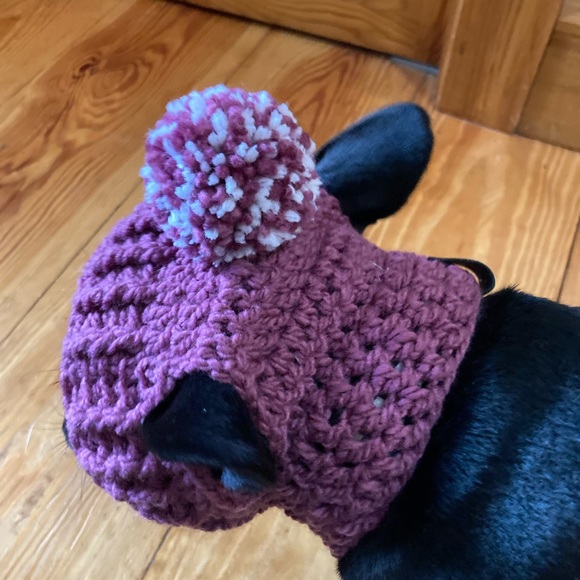 Hand knit/crochet Berry dog hat with pom-pom and collar - Picture 3 of 7